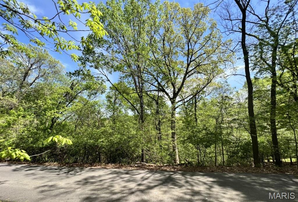 1032 Chesterfield Forest Property Photo 1