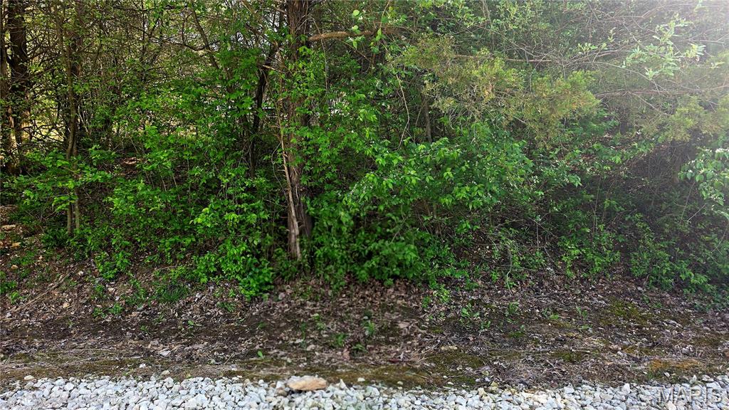 0 Glen Echo Drive Property Photo 2