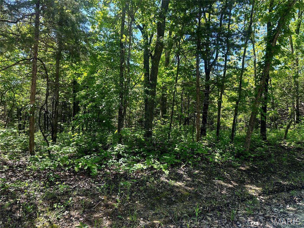632 Basswood Drive Property Photo 1