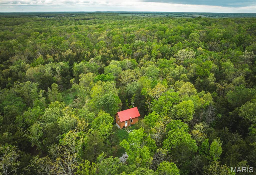 14875 Kirk Drive Property Photo 1