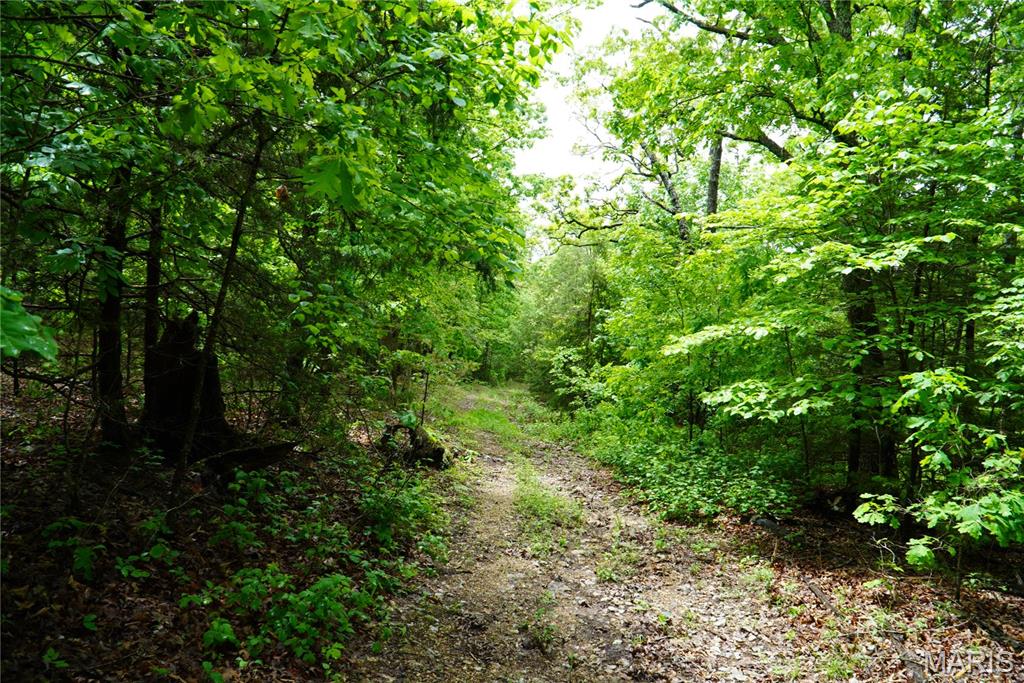 1 Topaz Property Photo 3