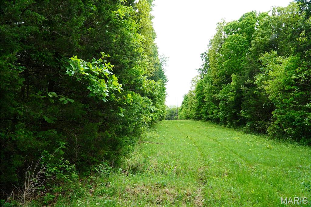 1 Topaz Property Photo 6