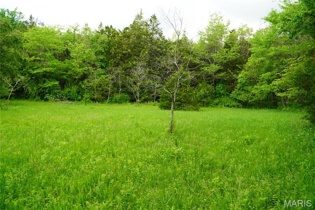 1 Topaz Property Photo 7
