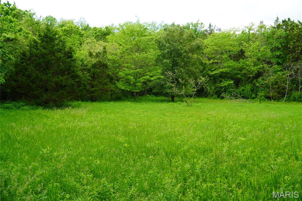 1 Topaz Property Photo 8