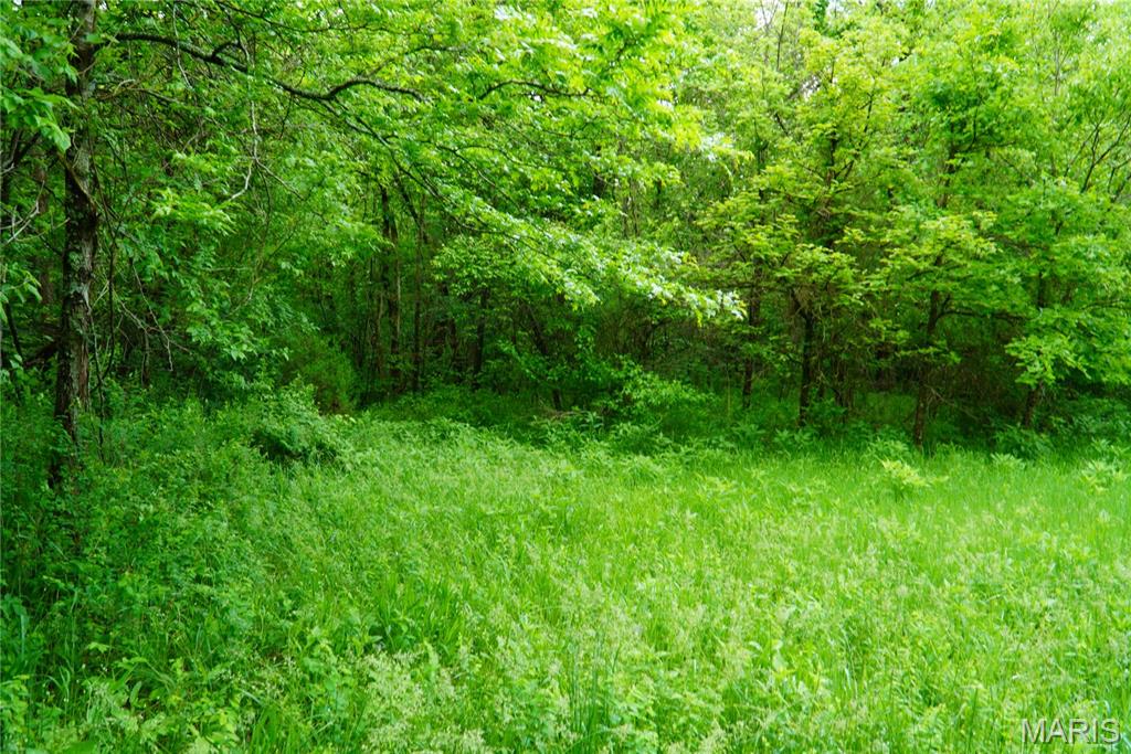 1 Topaz Property Photo 9
