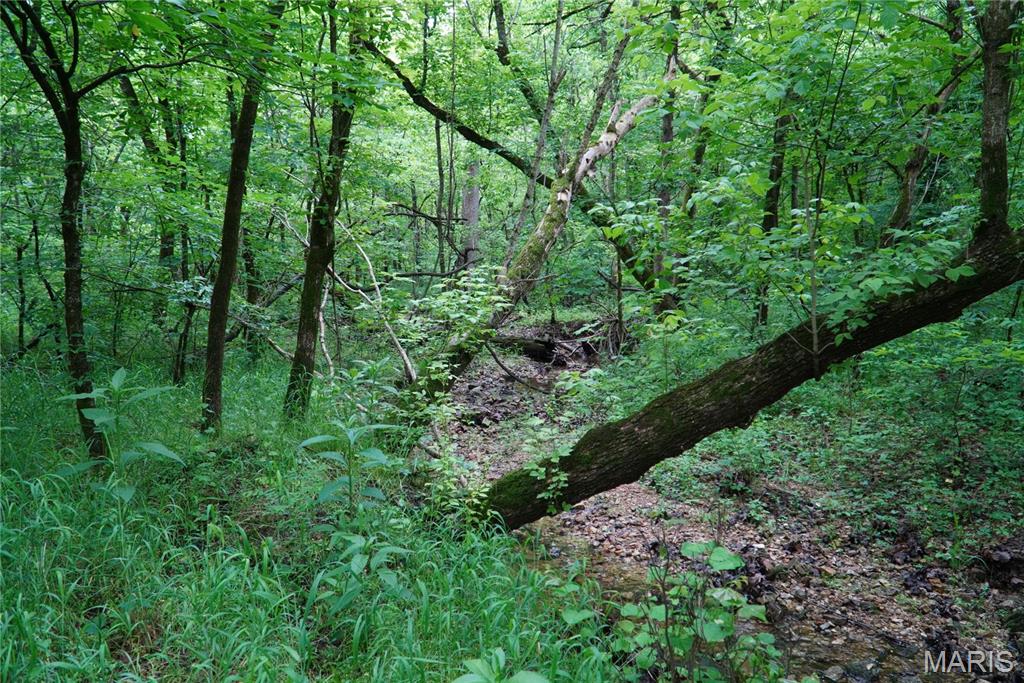 1 Topaz Property Photo 10