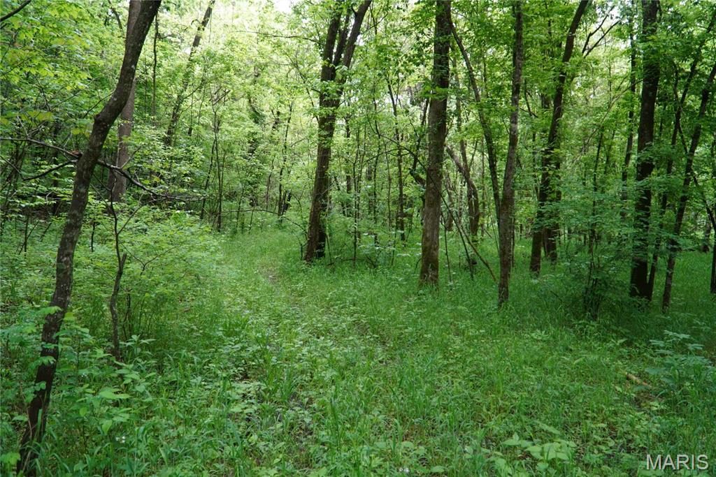 1 Topaz Property Photo 14