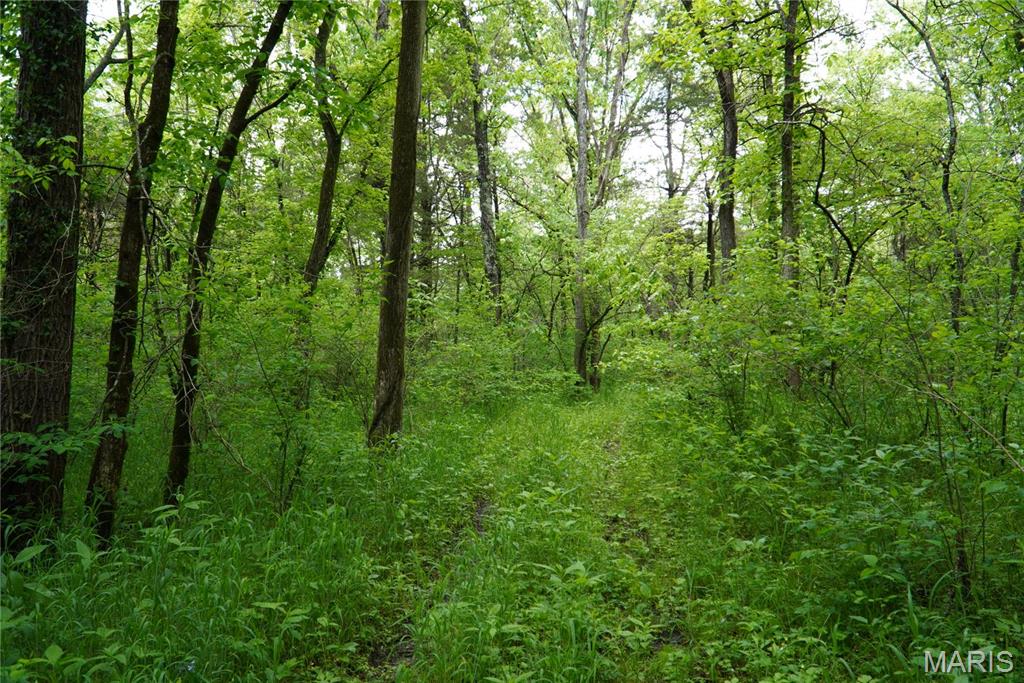 1 Topaz Property Photo 15