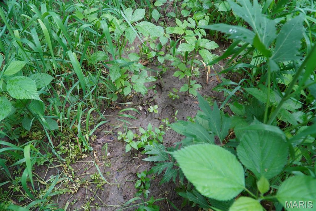 1 Topaz Property Photo 17