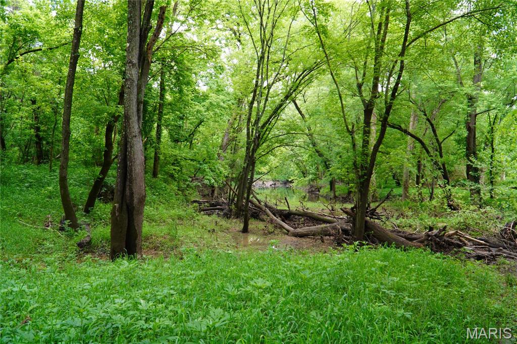 1 Topaz Property Photo 20