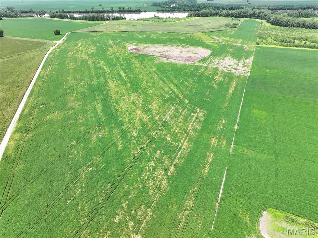 Off County Road 102 Property Photo 4