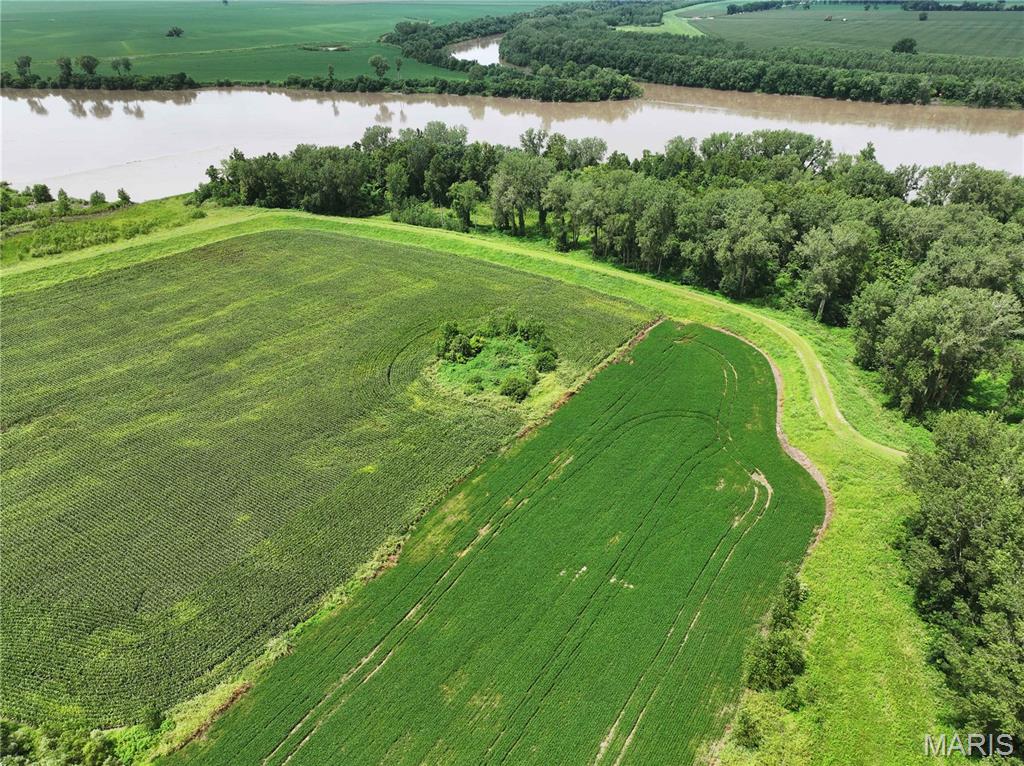 Off County Road 102 Property Photo 6