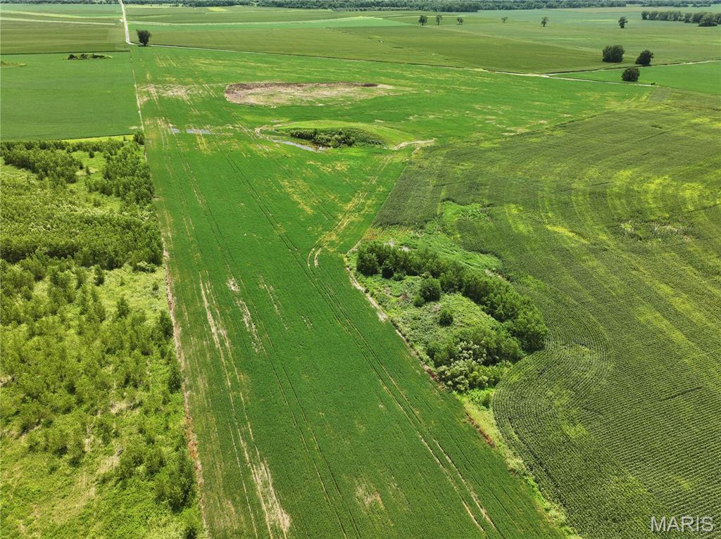 Off County Road 102 Property Photo 7