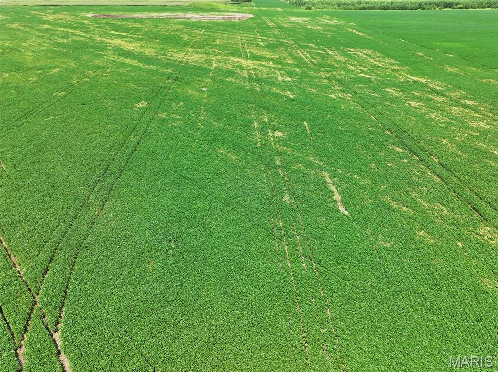 Off County Road 102 Property Photo 13