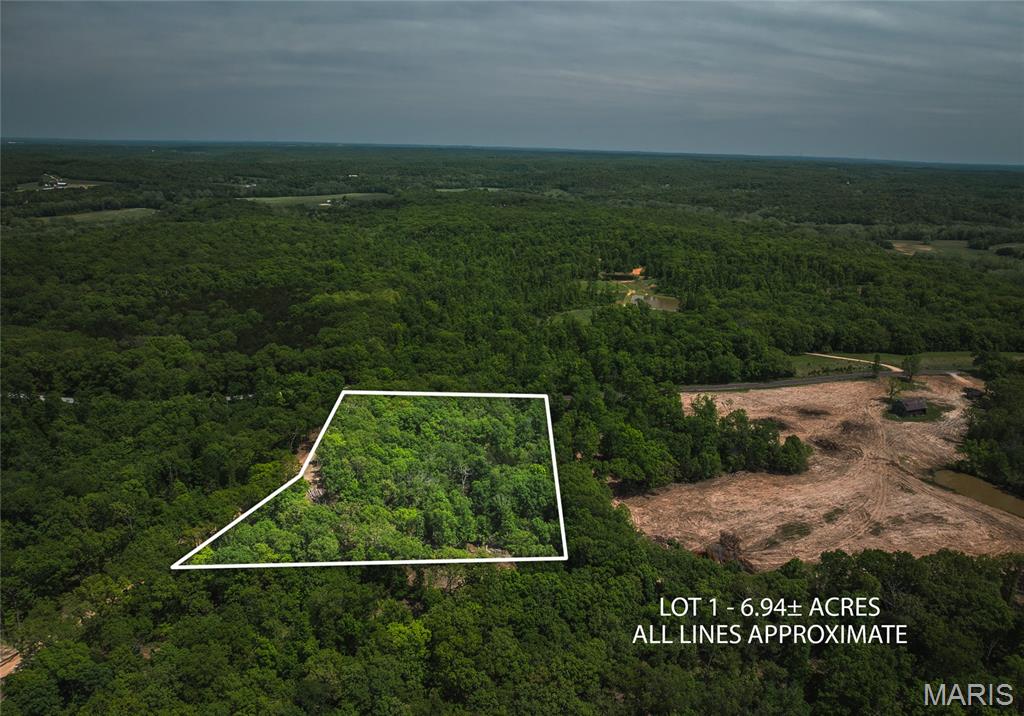0 Lot 1, Pea Ridge Farms Drive Property Photo 1