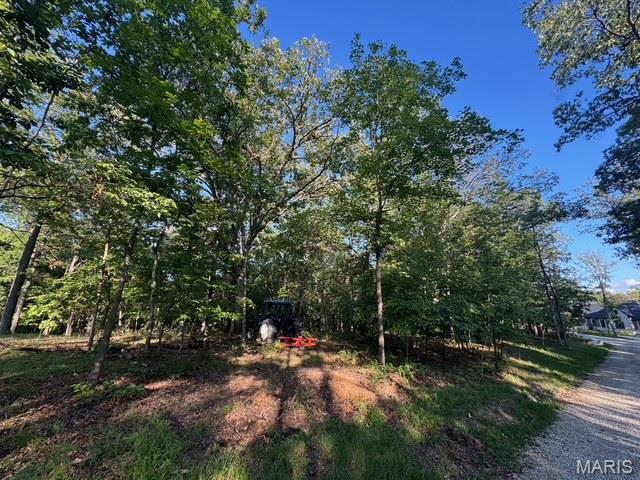 180 Steeple Point Dr. Lot #7 Drive Property Photo 1