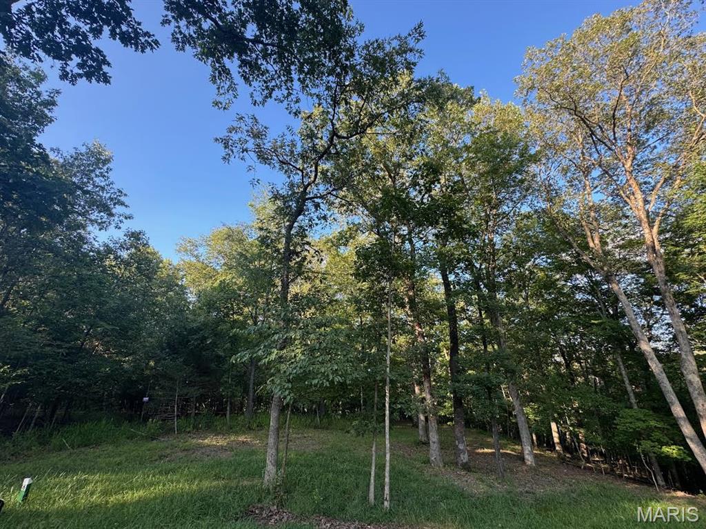 190 Steeple Point Dr. Lot #6 Drive Property Photo 1