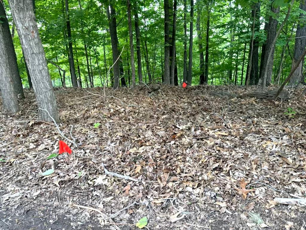 1513 Wolf Trail Road Property Photo 1