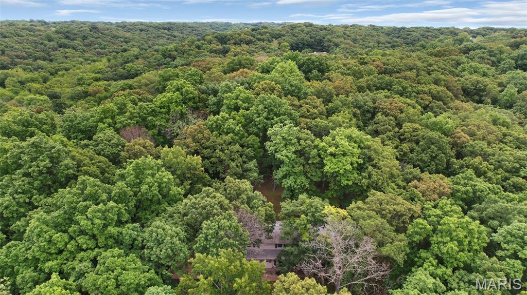 19072 Bear Trail Road Property Photo 39