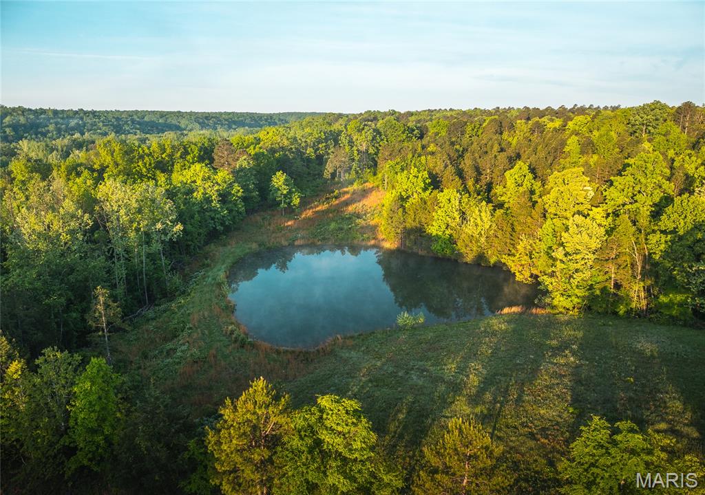 Tbd Dogwood Ln Property Photo 25