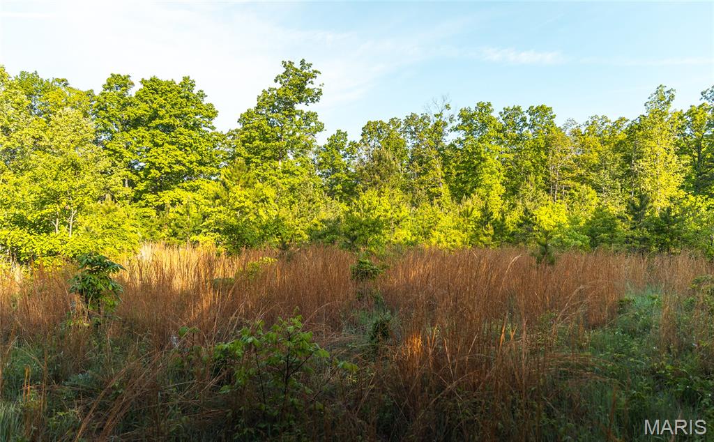 Tbd Dogwood Ln Property Photo 73