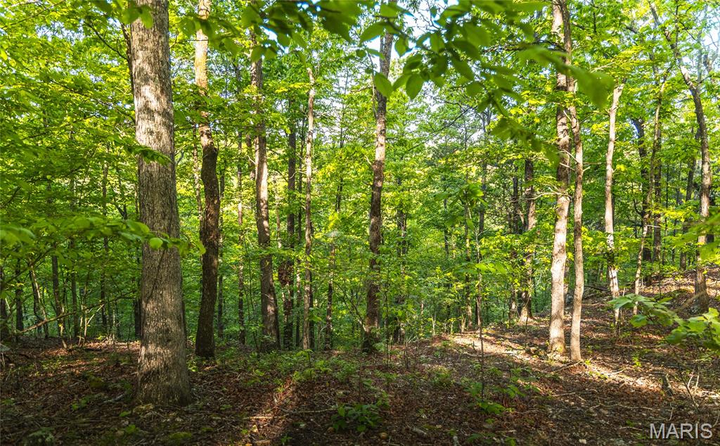 Tbd Dogwood Ln Property Photo 74