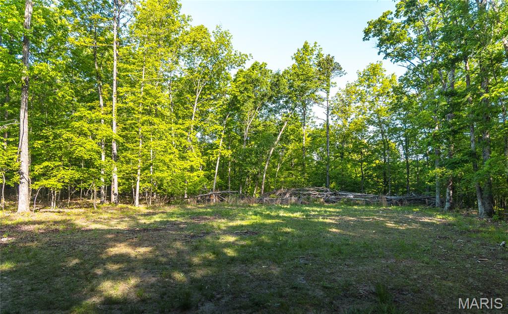 Tbd Dogwood Ln Property Photo 80