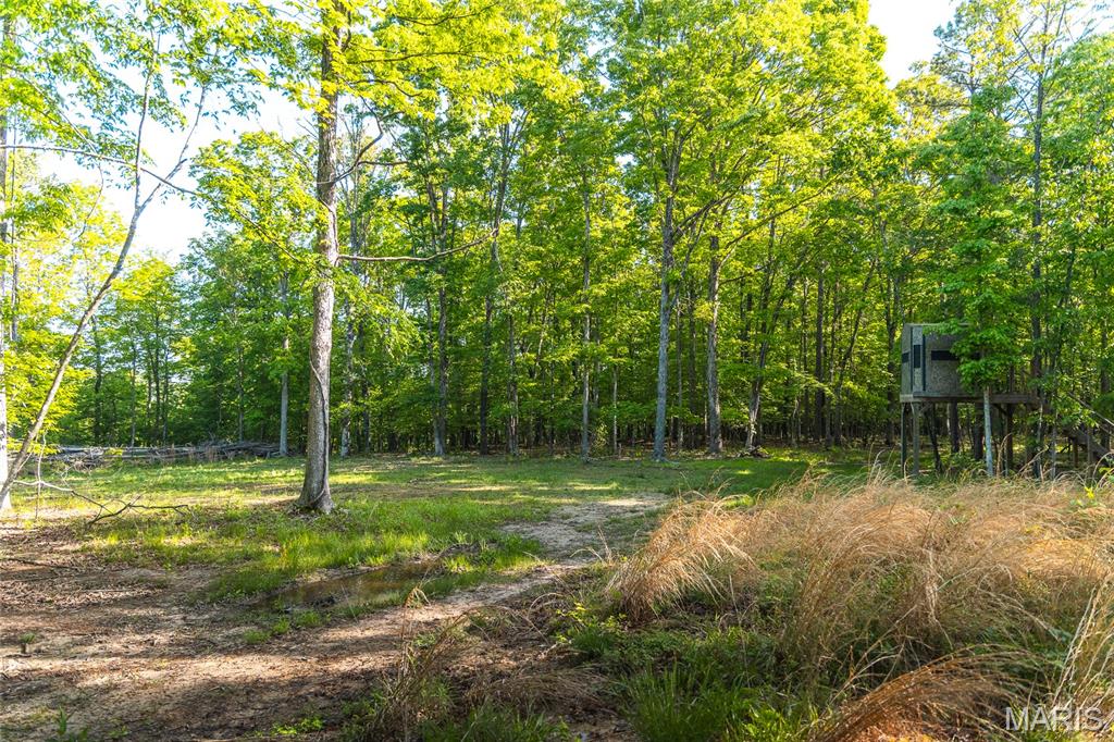 Tbd Dogwood Ln Property Photo 82