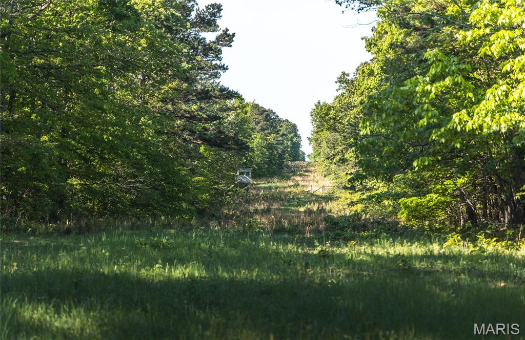 Tbd Dogwood Ln Property Photo 85