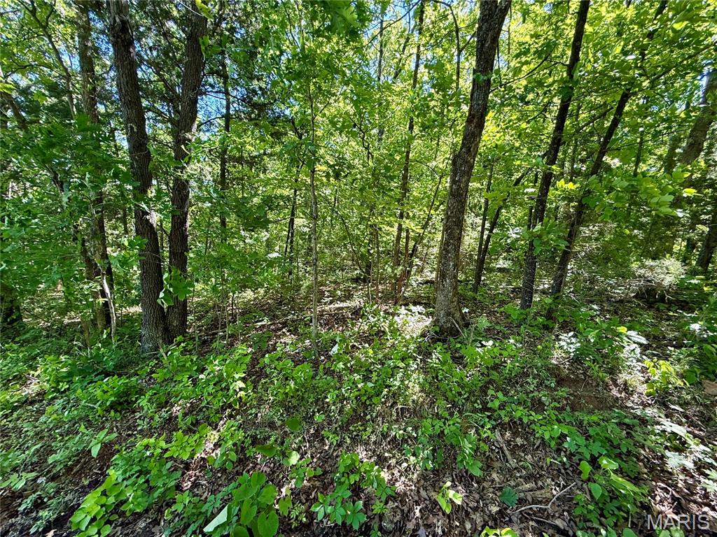 0 Cyclone Road Property Photo 1