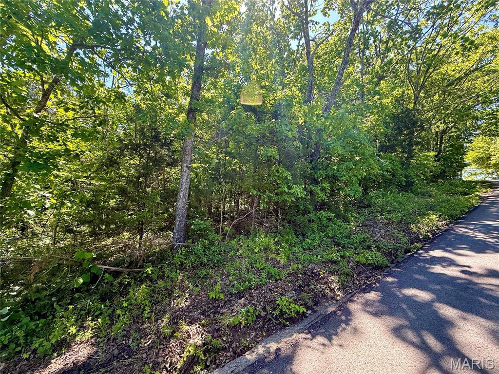 0 Cyclone Road Property Photo 3