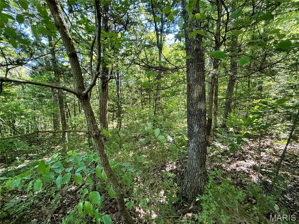 0 Cyclone Road Property Photo 4