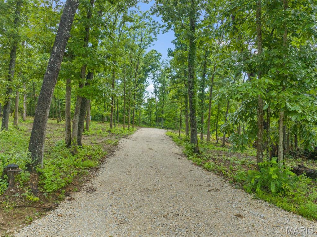 411 Hamilton Creek Drive Property Photo 1