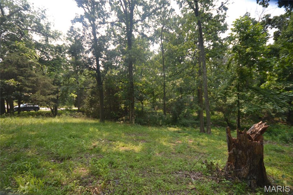 0000 Mckinney Chapel Road Property Photo 1