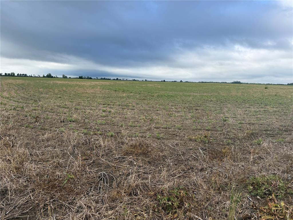 0 County Road 406 Property Photo 1