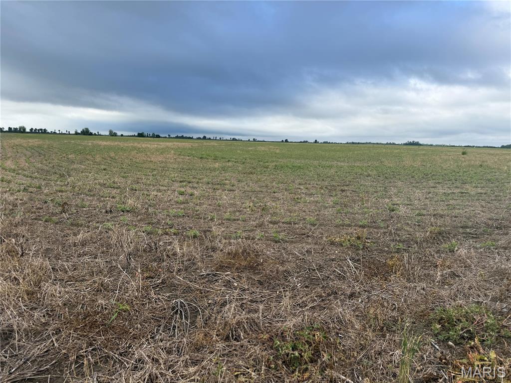 0 County Road 406 Property Photo 1