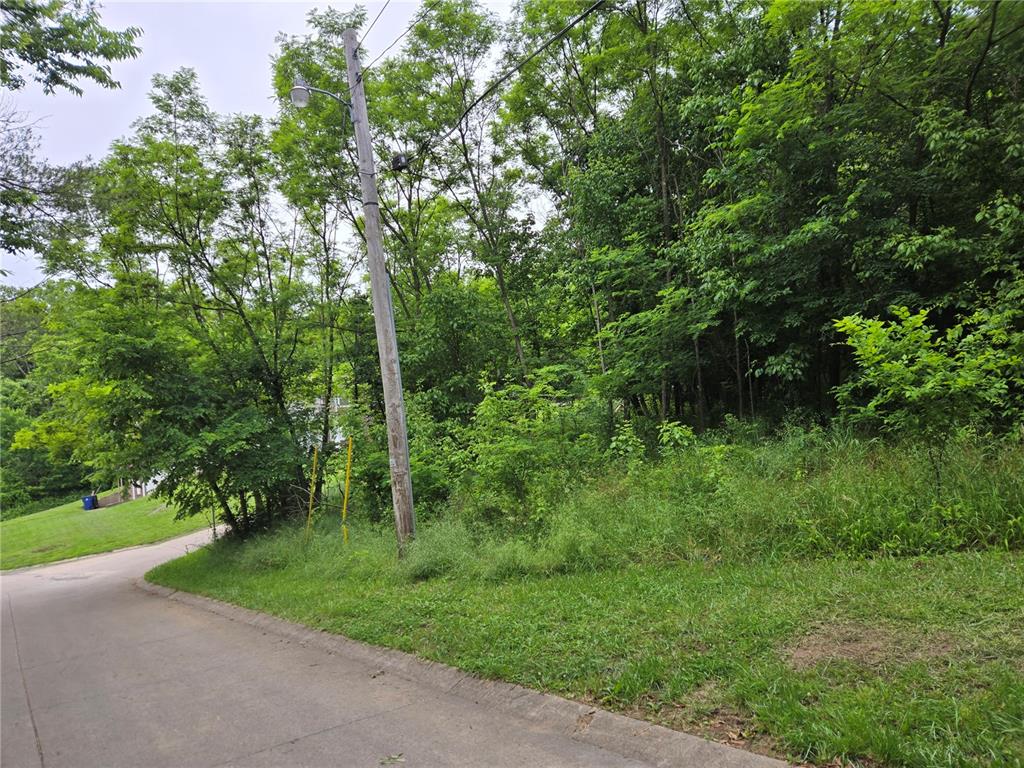 Pt Ne S1/2 Hidden Valley Drive, Cape Girardeau,mo Corner Property Photo 1