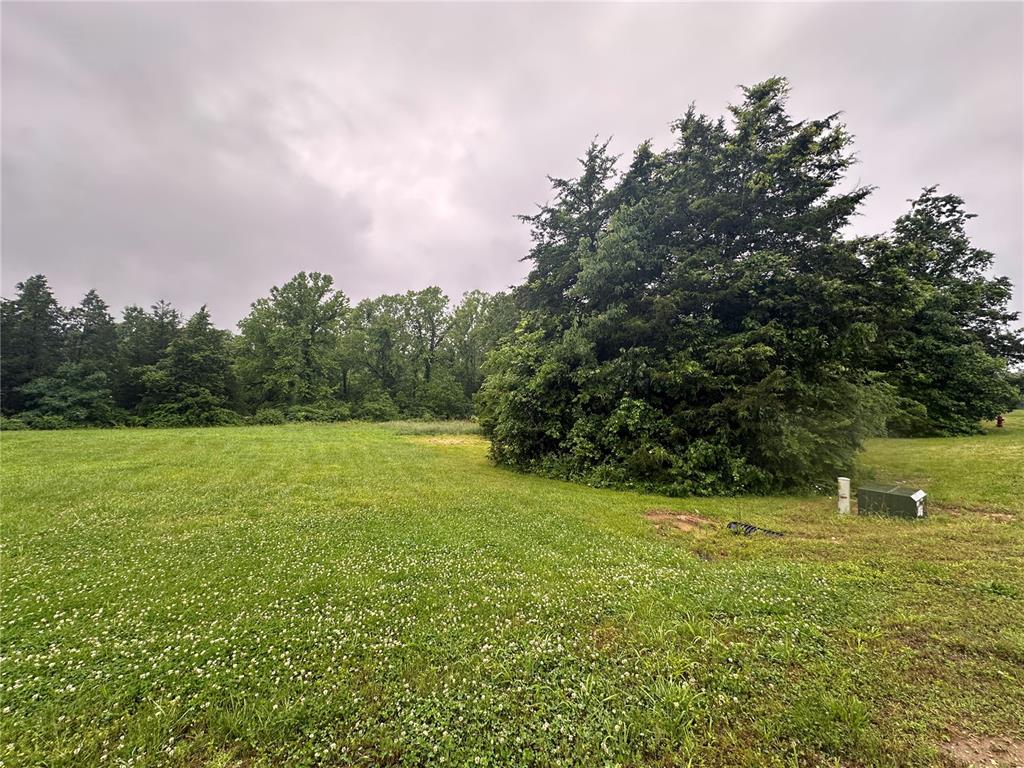 123 Seven Pines Drive Property Photo 9
