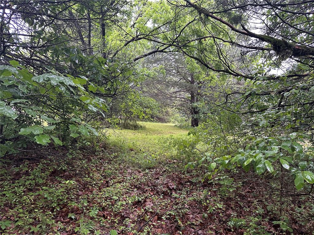 123 Seven Pines Drive Property Photo 10