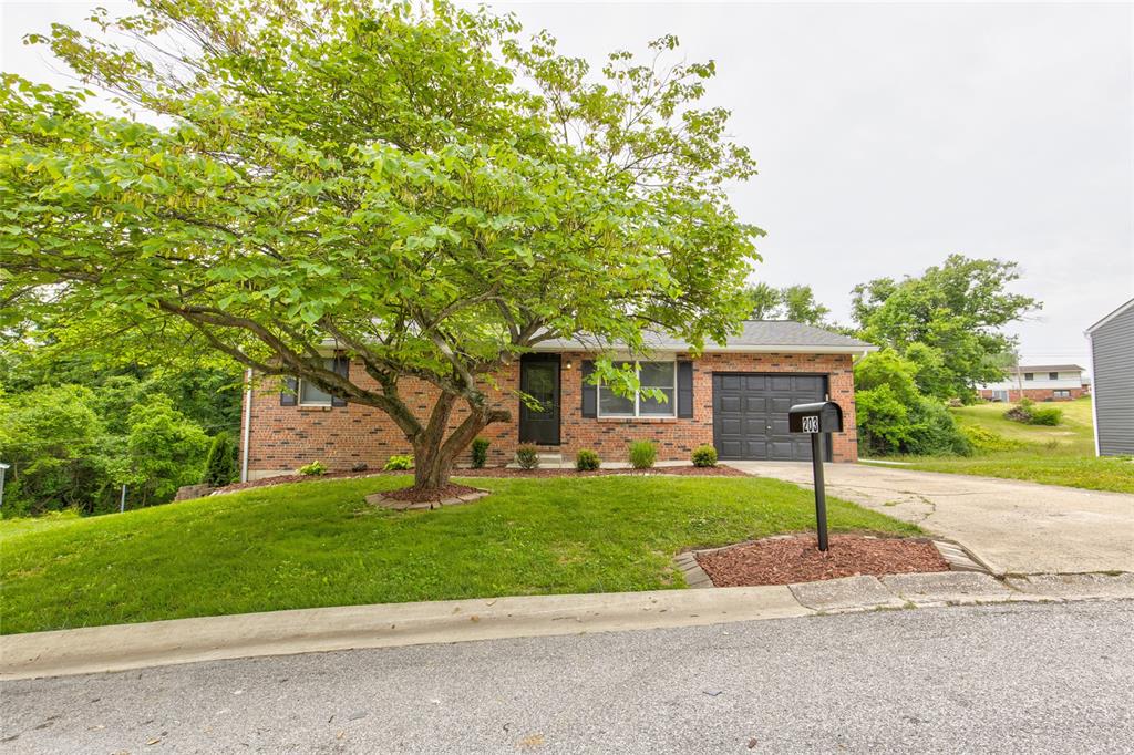203 Pine Ridge Drive Property Photo 1