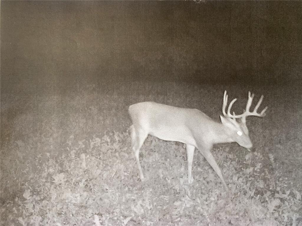 000 County Road 515