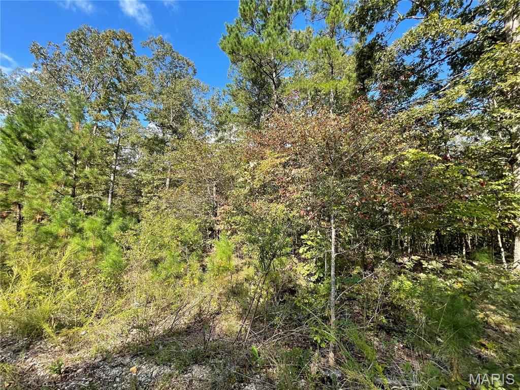 6 Woodland Heights Property Photo 1