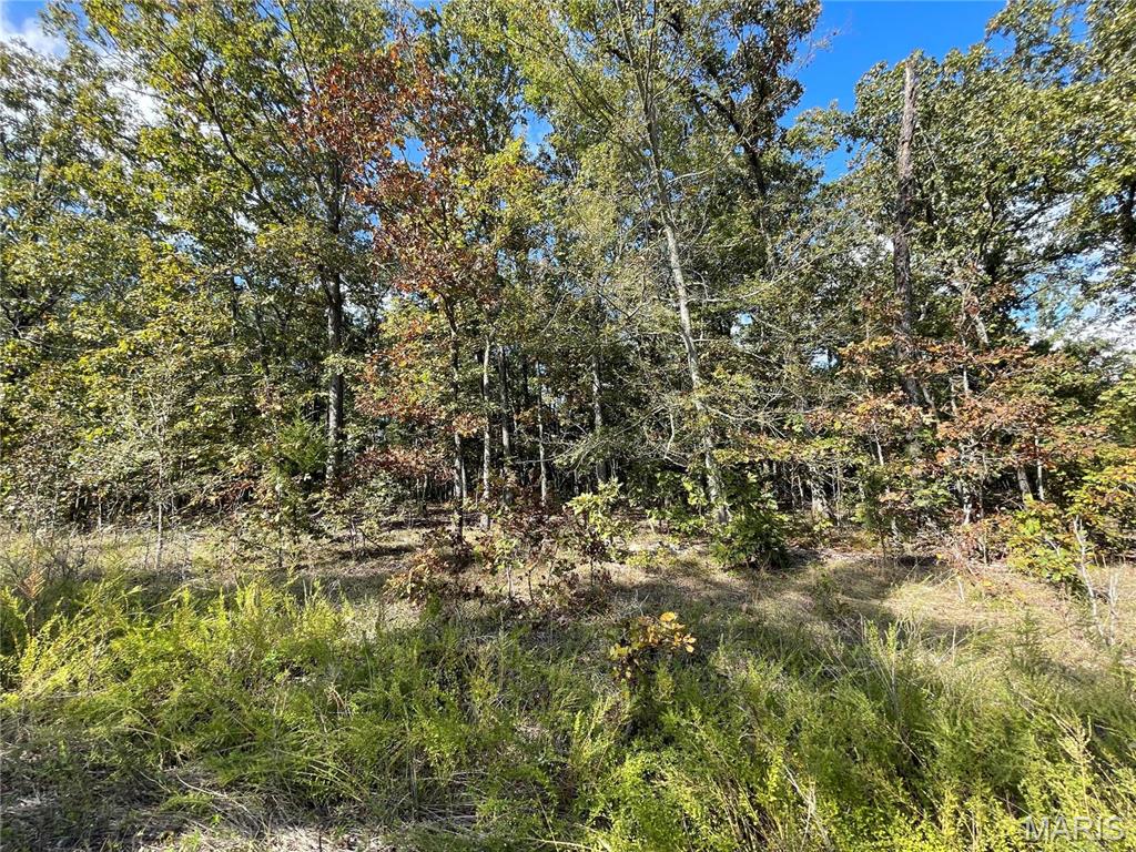 9 Woodland Heights Property Photo 1