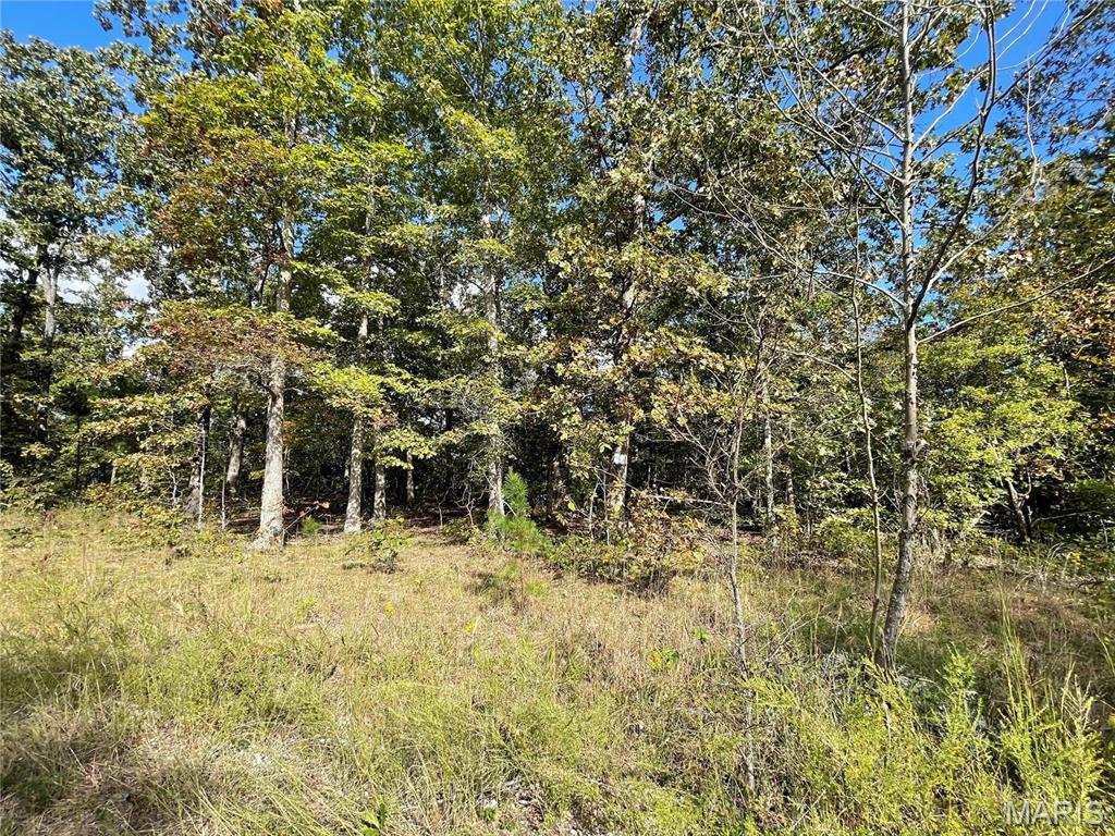 10 Woodland Heights Property Photo 1