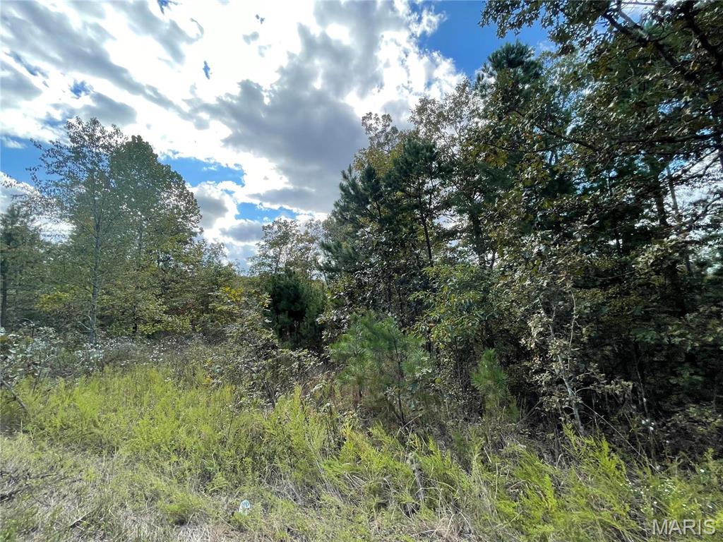 13 Woodland Heights Property Photo 1