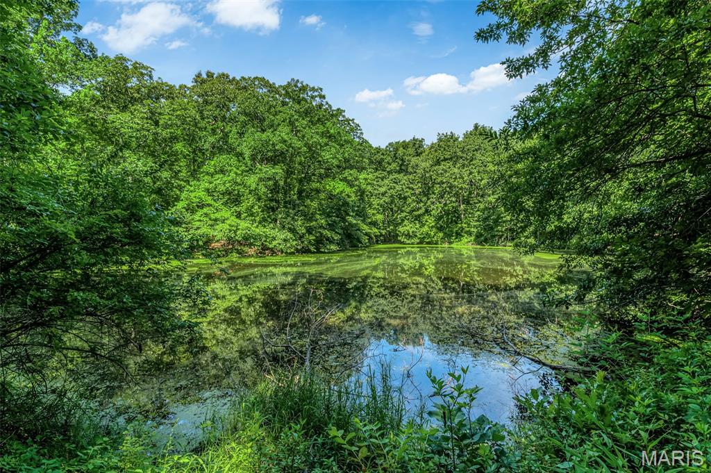671 Birkhead Road Property Photo 3