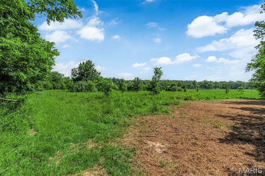 671 Birkhead Road Property Photo 7