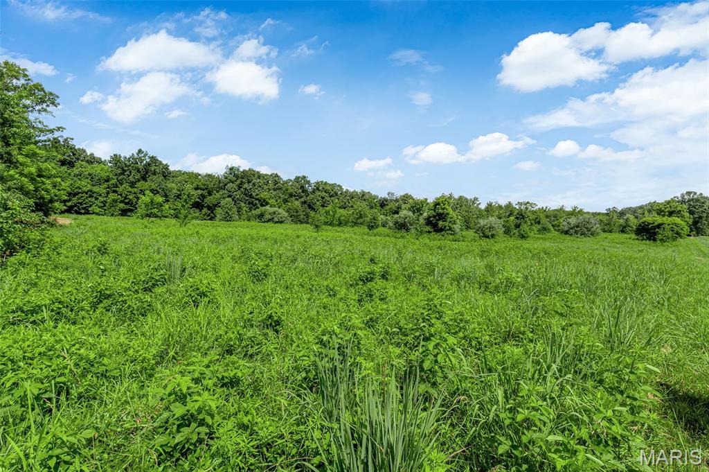 671 Birkhead Road Property Photo 8