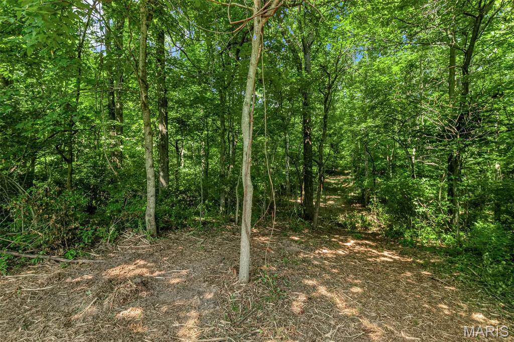 671 Birkhead Road Property Photo 10
