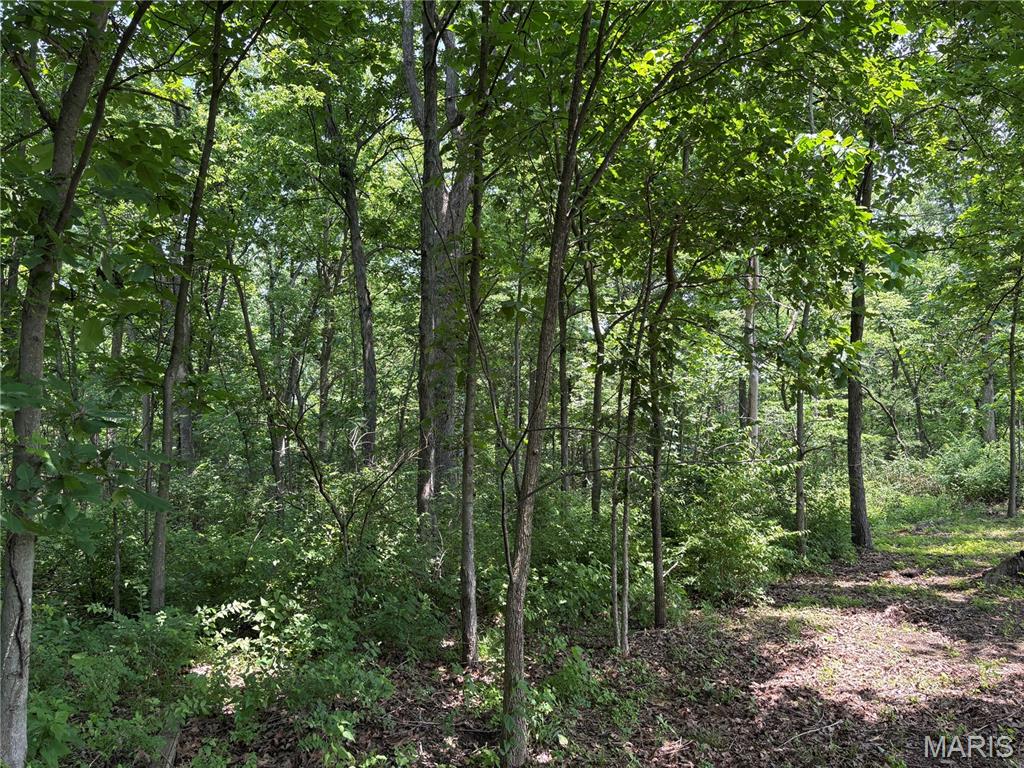 671 Birkhead Road Property Photo 16
